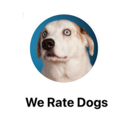 We Rate Dogs