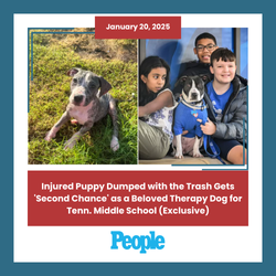 Injured Puppy Dumped with the Trash Gets 'Second Chance' as a Beloved Therapy Dog for Tenn. Middle School (Exclusive)