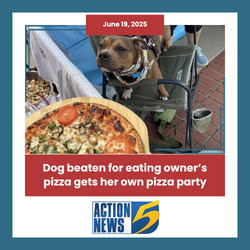 Dog beaten for eating owner's pizza gets her own pizza party