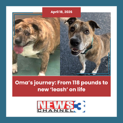 TEMPLATE - COPYDUPLICATE ME